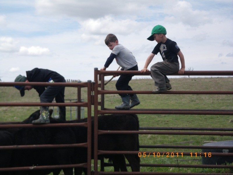 Lot 67 Golspie  Road, Laggan NSW 2583