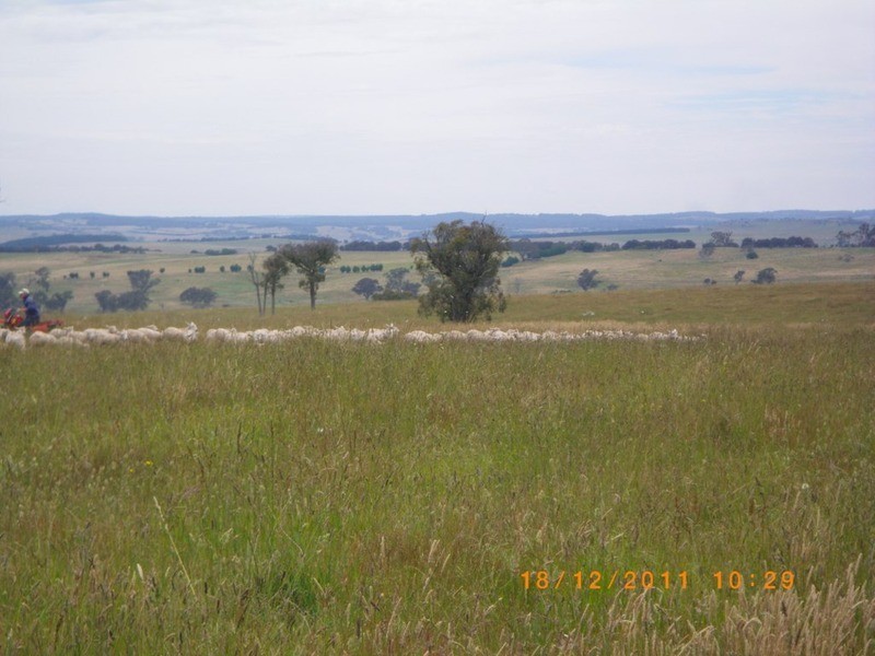 Lot 67 Golspie  Road, Laggan NSW 2583