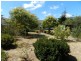 56 Elizabeth Street, Goulburn NSW 2580