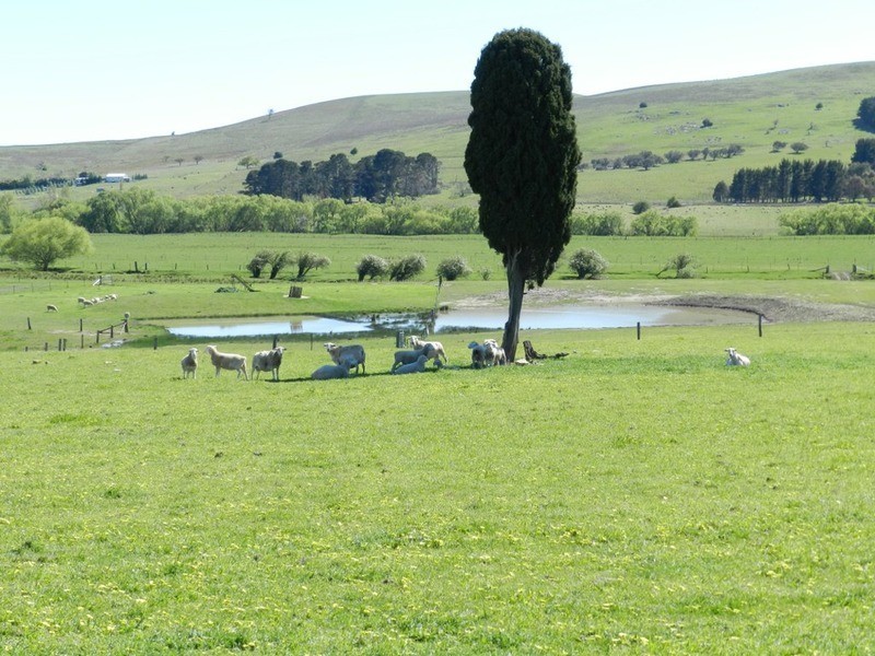 1522 Gurrundah Road, Parkesbourne NSW 2580