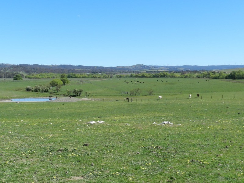 1522 Gurrundah Road, Parkesbourne NSW 2580