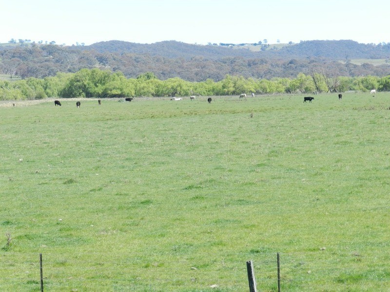 1522 Gurrundah Road, Parkesbourne NSW 2580