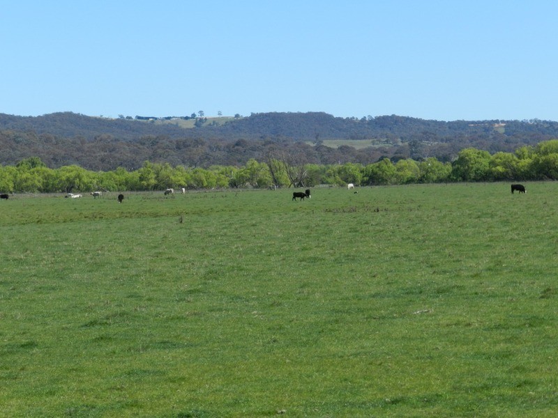 1522 Gurrundah Road, Parkesbourne NSW 2580