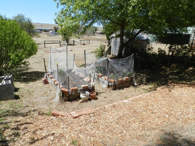 77 Macarthur Street, Taralga NSW 2580