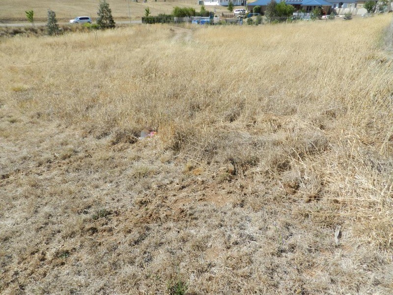 Lot 8 Sanctuary Drive, Goulburn NSW 2580