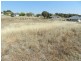 Lot 24 Sanctuary Drive, Goulburn NSW 2580