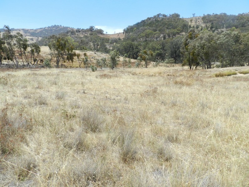 Lot 3 Grabine Road, Bigga NSW 2583