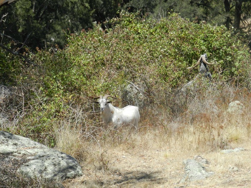 Lot 3 Grabine Road, Bigga NSW 2583