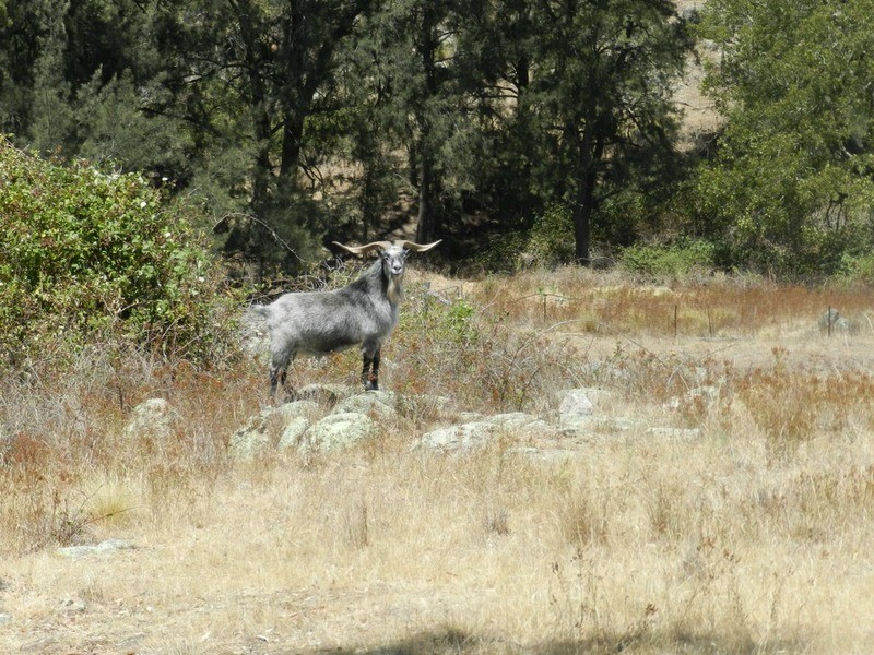 Lot 3 Grabine Road, Bigga NSW 2583