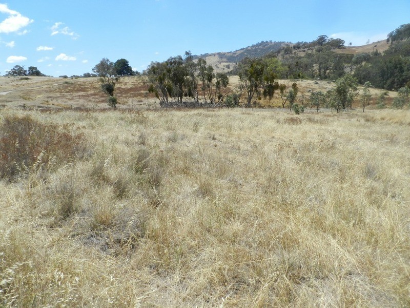 Lot 3 Grabine Road, Bigga NSW 2583