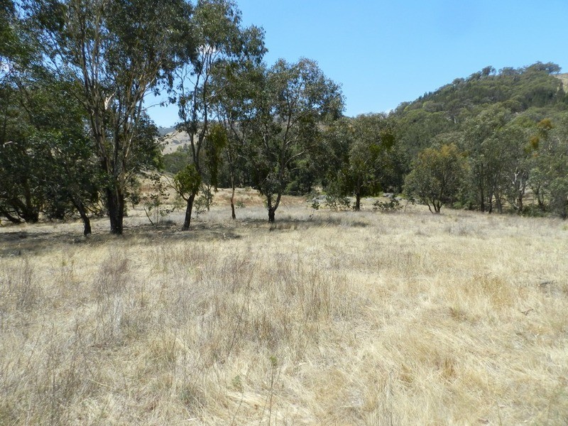 Lot 3 Grabine Road, Bigga NSW 2583