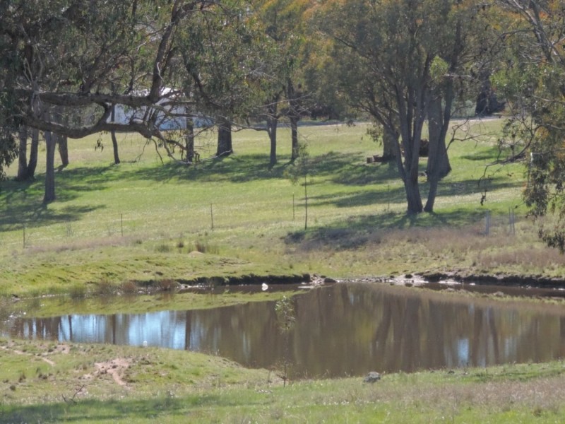 2139 Bigga Road, Bigga NSW 2583