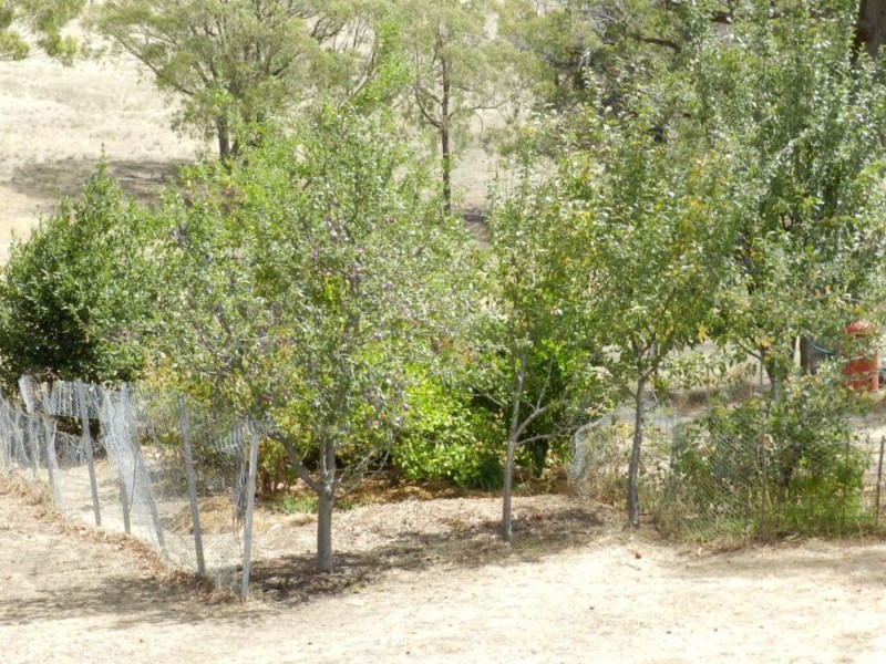 2139 Bigga Road, Bigga NSW 2583