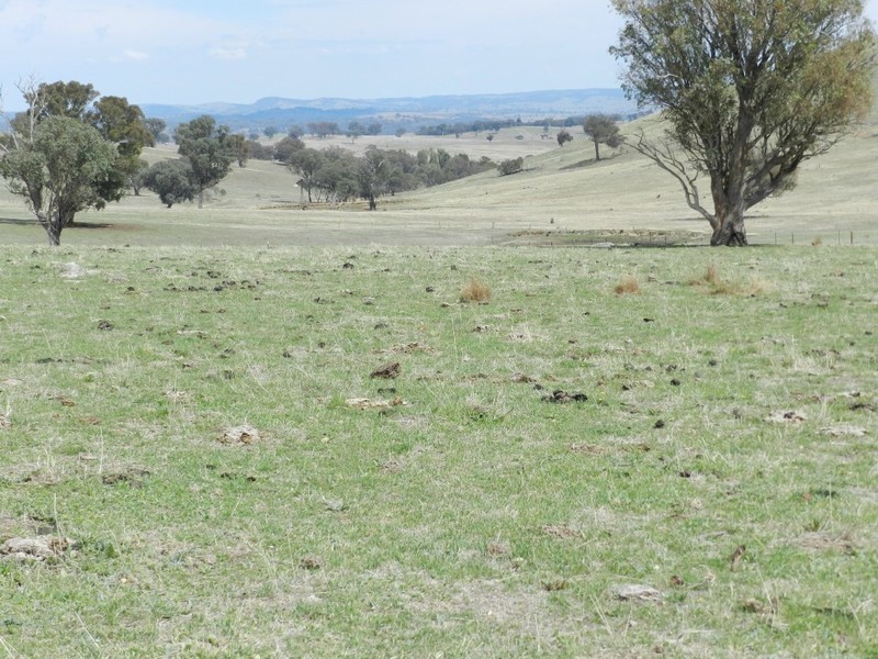 Lot 102 Off Boorowa Road, Crookwell NSW 2583