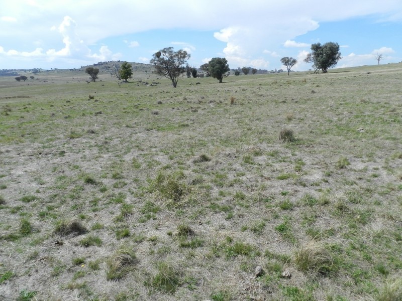Lot 102 Off Boorowa Road, Crookwell NSW 2583
