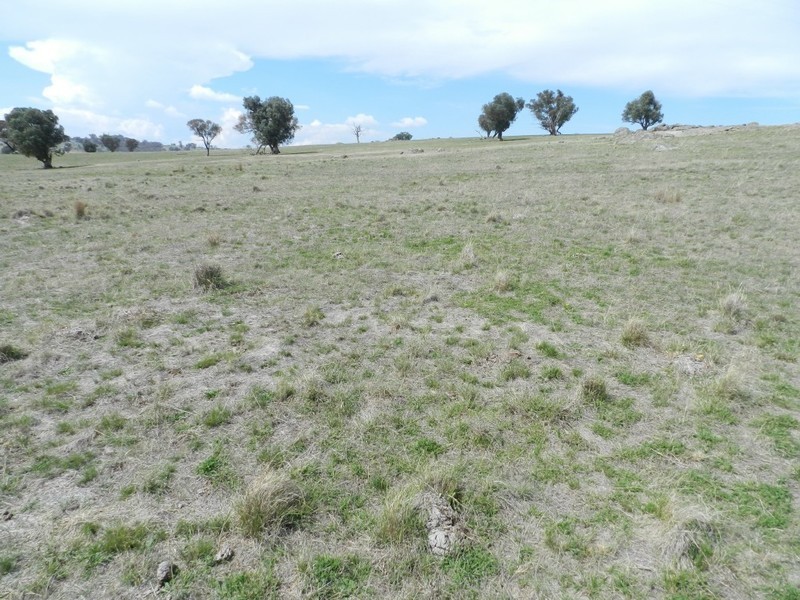 Lot 102 Off Boorowa Road, Crookwell NSW 2583