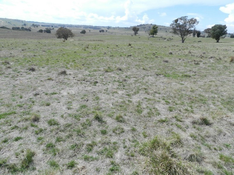 Lot 102 Off Boorowa Road, Crookwell NSW 2583