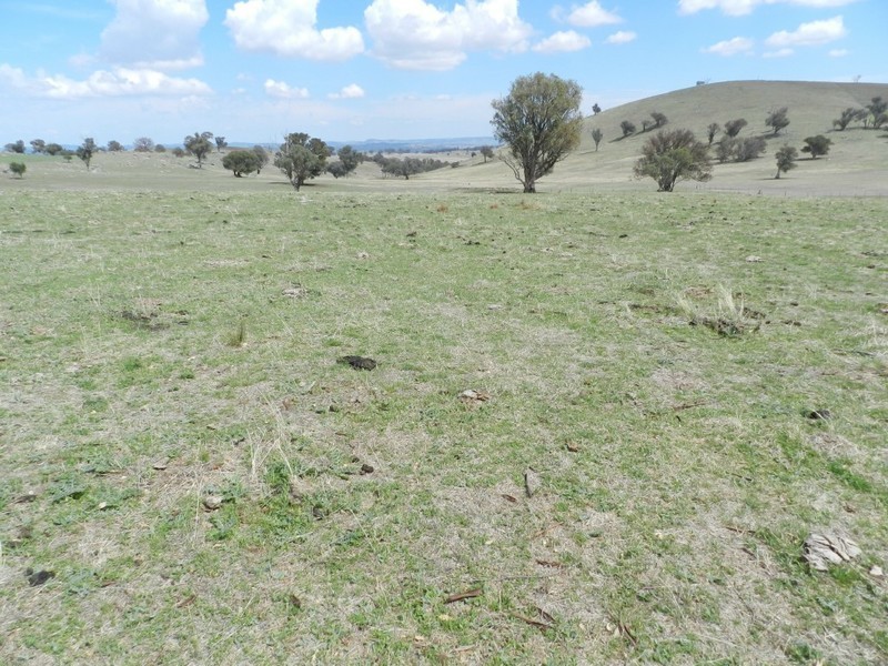 Lot 102 Off Boorowa Road, Crookwell NSW 2583