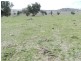 Lot 102 Off Boorowa Road, Crookwell NSW 2583