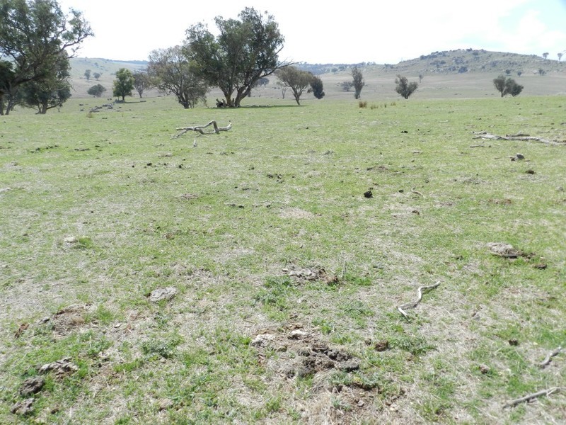 Lot 102 Off Boorowa Road, Crookwell NSW 2583