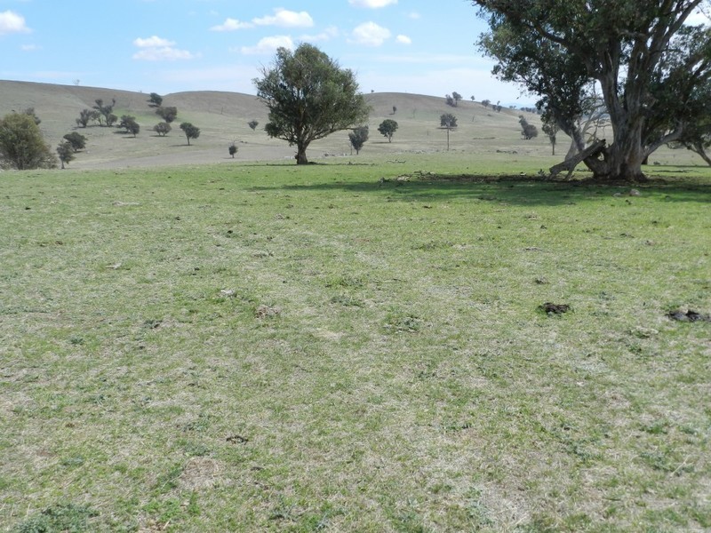 Lot 102 Off Boorowa Road, Crookwell NSW 2583