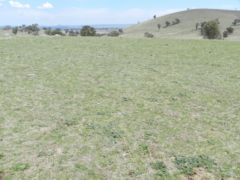 Lot 102 Off Boorowa Road, Crookwell NSW 2583