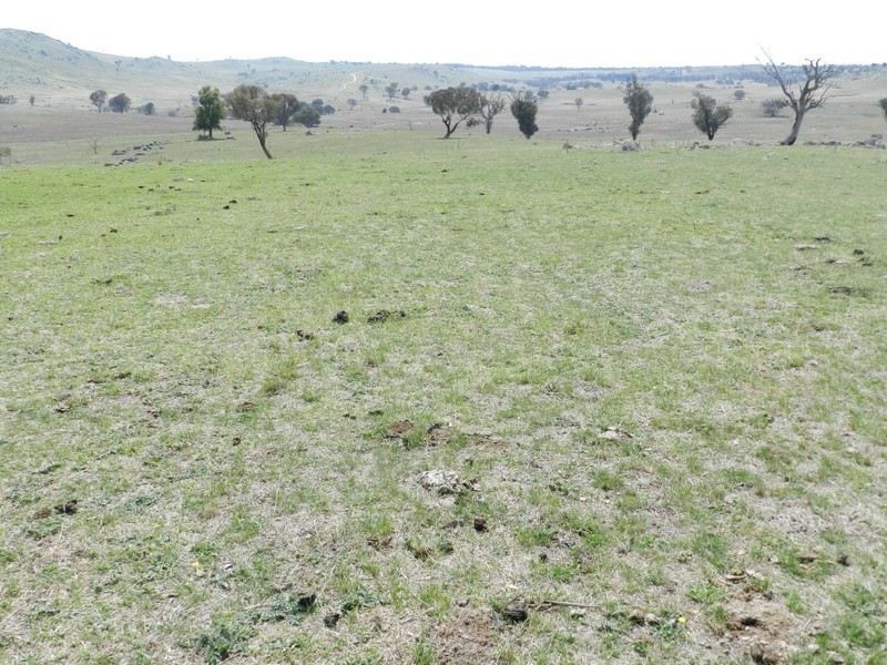 Lot 102 Off Boorowa Road, Crookwell NSW 2583