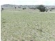 Lot 102 Off Boorowa Road, Crookwell NSW 2583