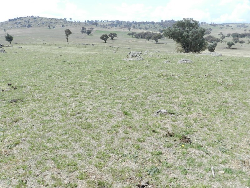Lot 102 Off Boorowa Road, Crookwell NSW 2583