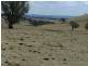 Lot 102 Off Boorowa Road, Crookwell NSW 2583