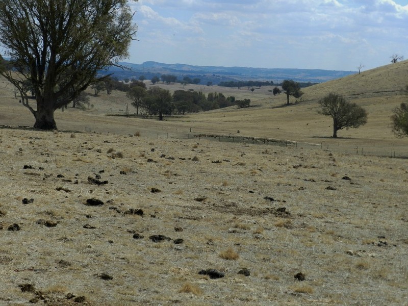 Lot 102 Off Boorowa Road, Crookwell NSW 2583