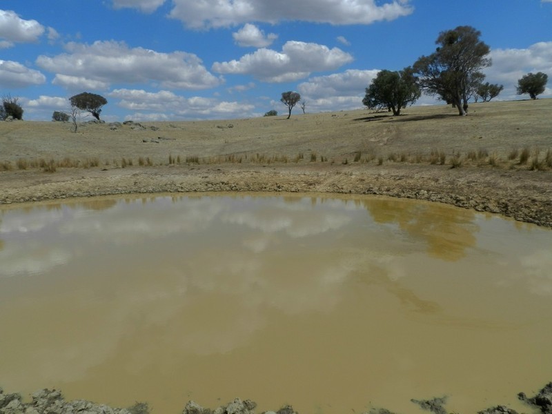 Lot 102 Off Boorowa Road, Crookwell NSW 2583