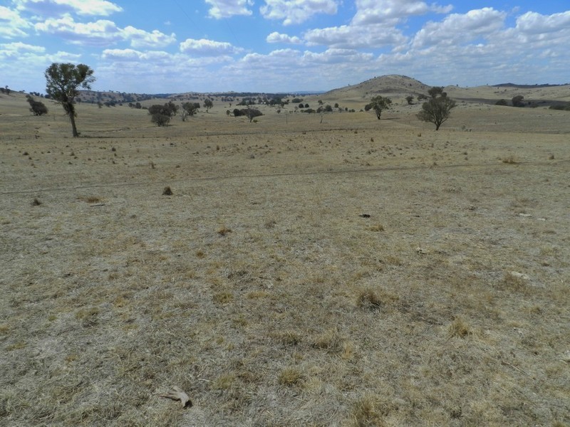 Lot 102 Off Boorowa Road, Crookwell NSW 2583