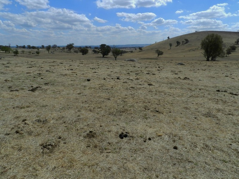 Lot 102 Off Boorowa Road, Crookwell NSW 2583