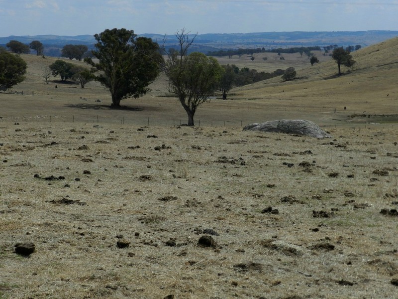 Lot 102 Off Boorowa Road, Crookwell NSW 2583