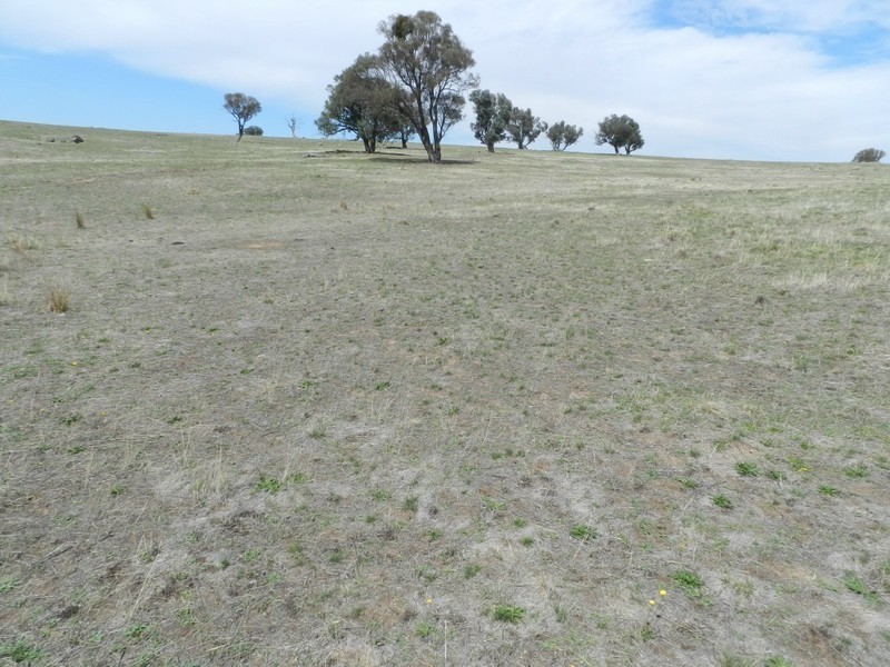 Lot 102 Off Boorowa Road, Crookwell NSW 2583