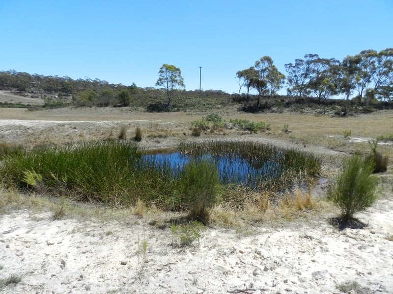 2439 Oallen Ford Road, Windellama NSW 2580