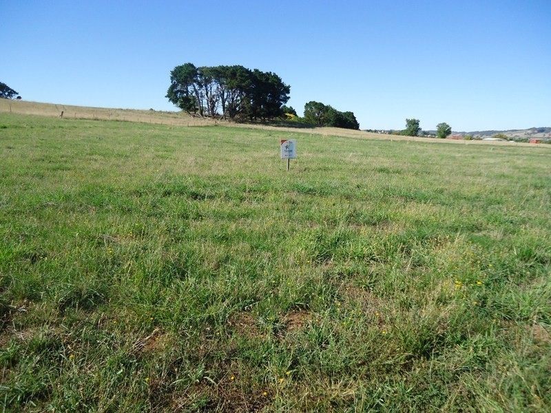 Pine Grove Saleyards, Laggan & McIntosh Road, Crookwell NSW 2583