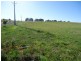Pine Grove Saleyards, Laggan & McIntosh Road, Crookwell NSW 2583