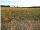 Pine Grove Saleyards, Laggan & McIntosh Road, Crookwell NSW 2583