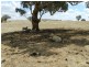 Lot 103 Off Boorowa Road, Crookwell NSW 2583