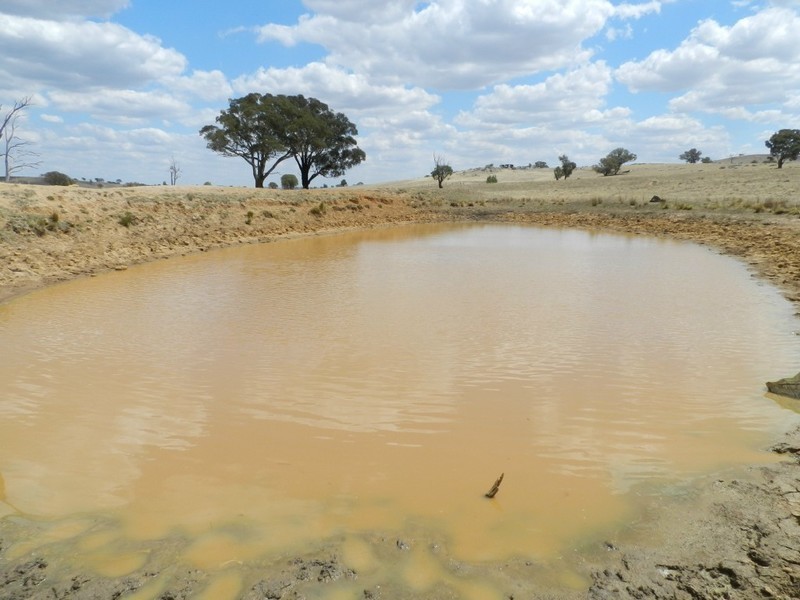 Lot 103 Off Boorowa Road, Crookwell NSW 2583