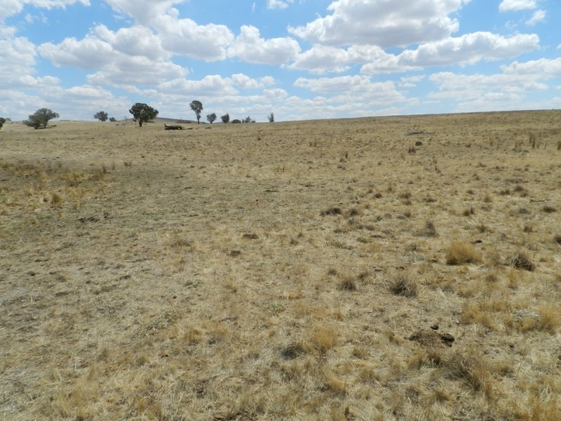 Lot 103 Off Boorowa Road, Crookwell NSW 2583
