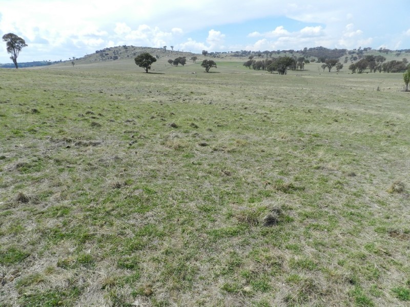 Lot 103 Off Boorowa Road, Crookwell NSW 2583