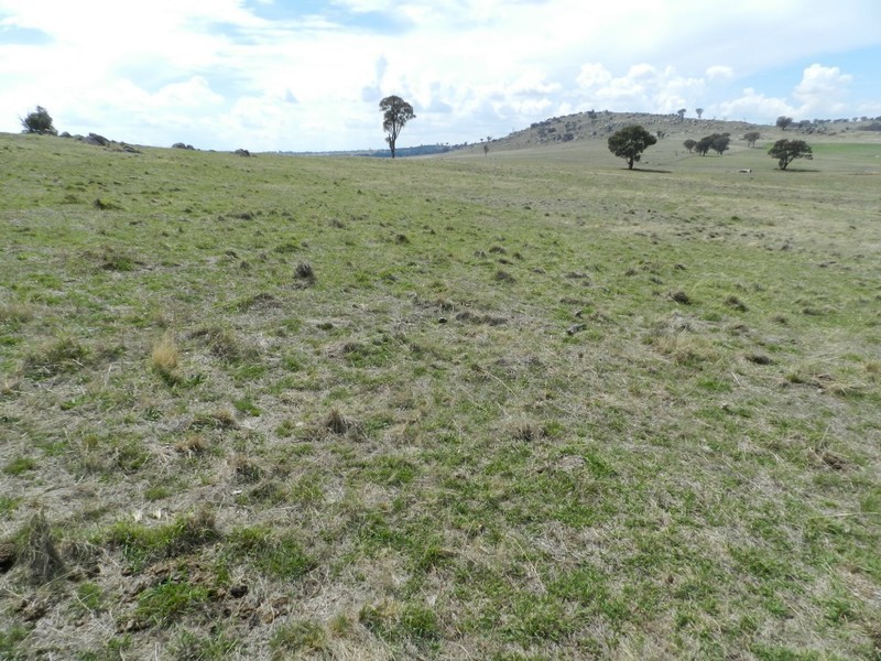 Lot 103 Off Boorowa Road, Crookwell NSW 2583