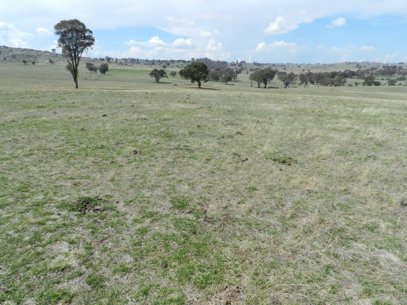 Lot 103 Off Boorowa Road, Crookwell NSW 2583