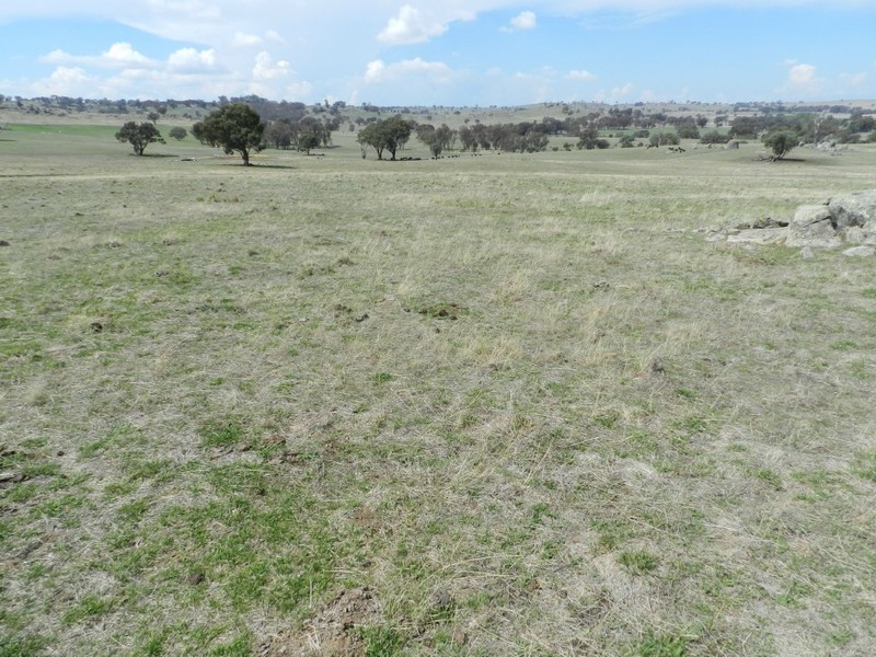 Lot 103 Off Boorowa Road, Crookwell NSW 2583