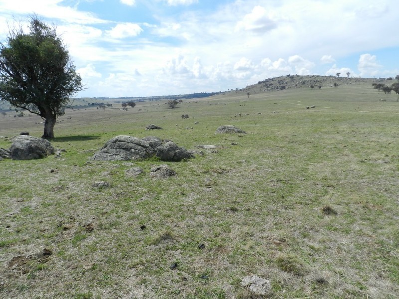 Lot 103 Off Boorowa Road, Crookwell NSW 2583