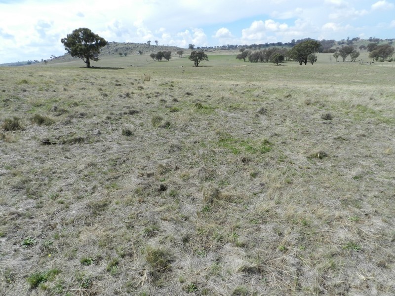 Lot 103 Off Boorowa Road, Crookwell NSW 2583