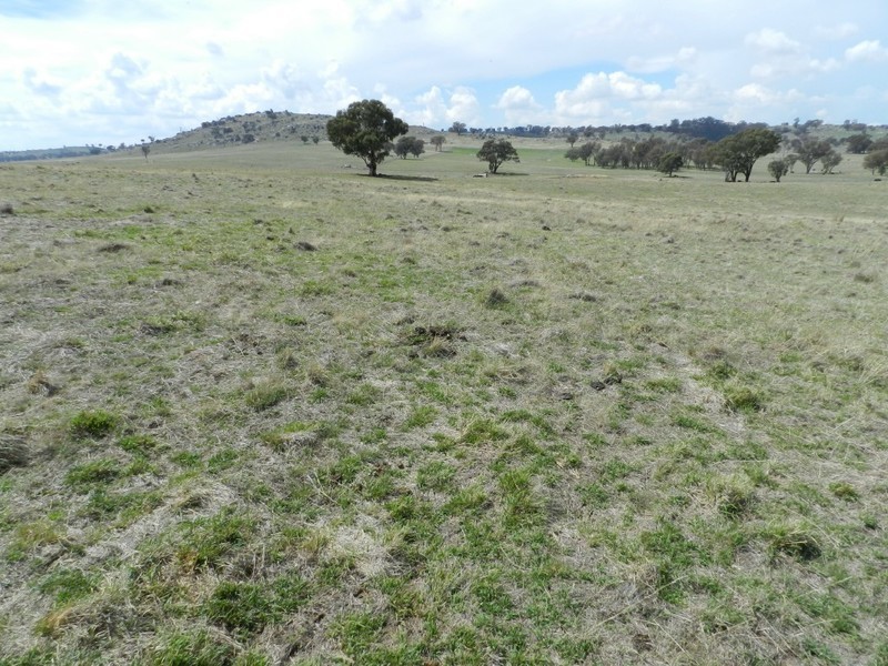 Lot 103 Off Boorowa Road, Crookwell NSW 2583